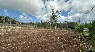 Gambar 2 Rare Land near Uluwatu Main Road For Lease 