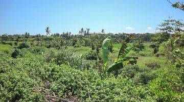 Gambar 5 Fwd: Jual Tanah Los Pantai dan Akses Jalan Utama di Pantai Lebih