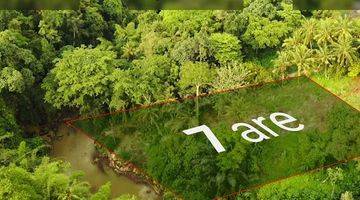 Gambar 3 JUNGLE AND RIVER VIEW!!! Land for Lease NEAR NUANU & Tanah Lot