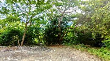 Gambar 3 Land For Sale In The Middle Of Luxury Villa Area & Peaceful Neighborhood In Jimbaran