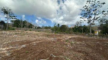 Gambar 3 Rare Land near Uluwatu Main Road For Lease 