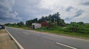 Gambar 3 Tanah Tepi Jalan Raya Lokasi Dekat Supadio International Airport