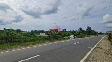 tampak depan tanah tepi jalan raya lokasi