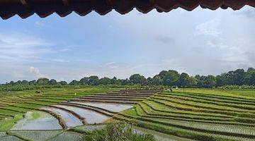 Gambar 4 Di Jual Vila Canggu Dengan Pemandangan Sawah