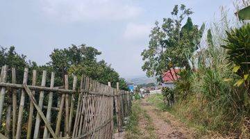 Gambar 3 Tanah Kebun Jeruk Produktif Murah Strategis di Bumiaji Kota Batu