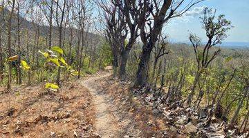 Gambar 3 TANAH KEBUN VIEW LAUT HARGA BAIK DI BULELENG BALI.