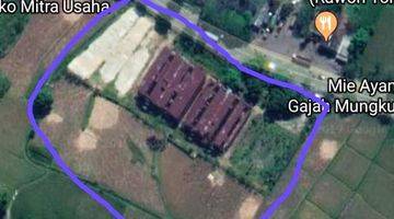 Gambar 2 Dijual Tanah Di Tongas Plus Ada 4 Gudang 