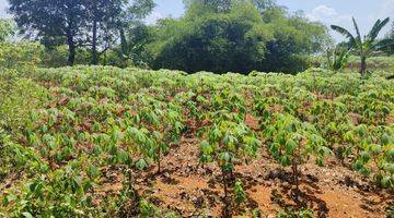 Gambar 2 Di Jual Lahan Pinggir Jalan Raya Cijayanti Rainbow Hill