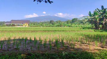 Gambar 1  Tanah di Cijeruk bogor, Cijeruk 1,2 Hectare SHM