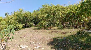 Gambar 4 Land With Mountain View  In Lovina