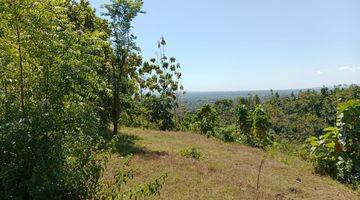 Gambar 2 Land With Mountain View  In Lovina