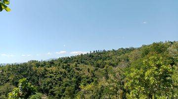 Gambar 1 Land With Mountain View  In Lovina