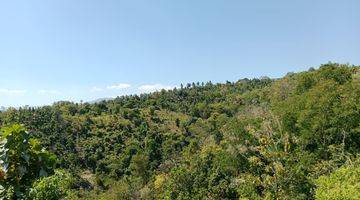 Gambar 5 Land With Mountain View  In Lovina