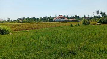 Gambar 2 Land With Rice Field View  in Lovina