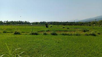 Gambar 3 Land With Rice Field View For Sale in Lovina