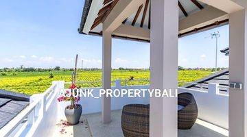 Gambar 2 Rumah Baru Style Modern View Sawah, Lingkungan One Gate, Ketewel