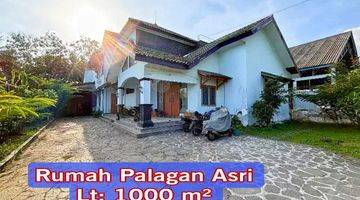 Gambar 1 Rumah Tanah Luas Palagan 1000 Meter Pedesaan