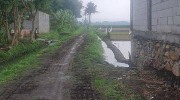 Gambar 5 Tanah Super Luas Strategis Depan Exit Tol Pakis Malang 