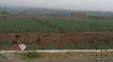 Gambar 1 TANAH SAWAH SUBUR HARGA ISTIMEWA DI JUNREJO KOTA BATU.