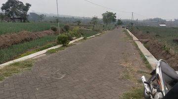 Gambar 3 TANAH SAWAH SUBUR HARGA ISTIMEWA DI JUNREJO KOTA BATU.