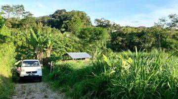 Gambar 4 Tanah Kebun Subur Harga Baik Di Bumiaji Kota Batu.