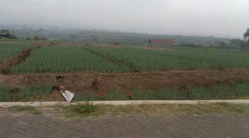 Gambar 2 TANAH SAWAH SUBUR HARGA ISTIMEWA DI JUNREJO KOTA BATU.