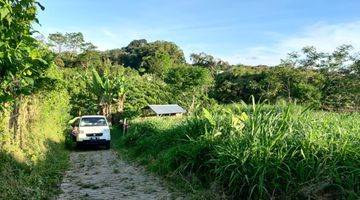 Gambar 1 Tanah Kebun Subur Harga Baik Di Bumiaji Kota Batu.