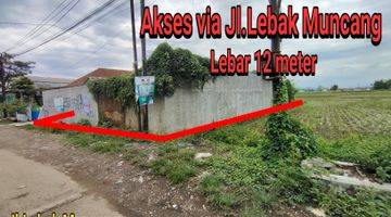 Gambar 3 Tanah Luas Zona Industri Di Jl.Bojong Salak (Sayap Kopo Katapang)