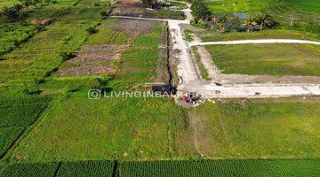 Gambar 4 FREEHOLD LAND WITH RICEFIELD VIEW AT KEDUNGU