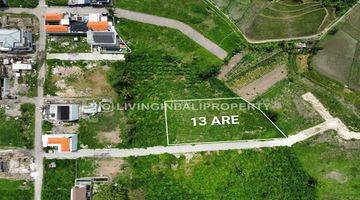 Gambar 1 FREEHOLD LAND WITH RICEFIELD VIEW AT MUNGGU