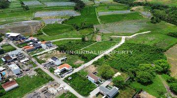 Gambar 2 FREEHOLD LAND WITH RICEFIELD VIEW AT MUNGGU