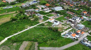 Gambar 3 FREEHOLD LAND WITH RICEFIELD VIEW AT MUNGGU