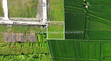 Gambar 3 FREEHOLD LAND WITH RICEFIELD VIEW AT KEDUNGU