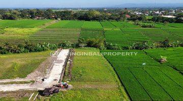 Gambar 1 FREEHOLD LAND WITH RICEFIELD VIEW AT KEDUNGU