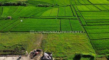 Gambar 5 FREEHOLD LAND WITH RICEFIELD VIEW AT KEDUNGU