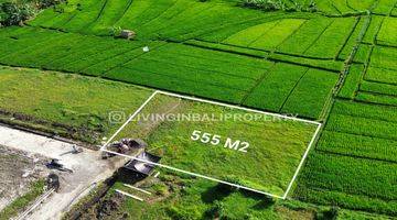 Gambar 2 FREEHOLD LAND WITH RICEFIELD VIEW AT KEDUNGU