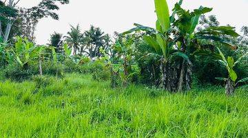 Gambar 4 Dijual Tanah 50 Are Di Tegalalang, Ubud