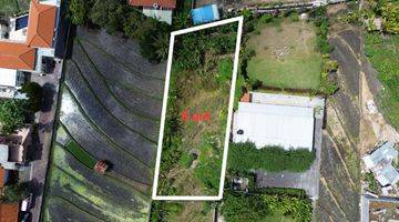 Gambar 1 Dijual Tanah 8 Are With Ricefield View in Canggu