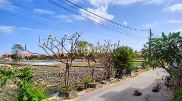 Gambar 5 Ruko luas di pulau moyo