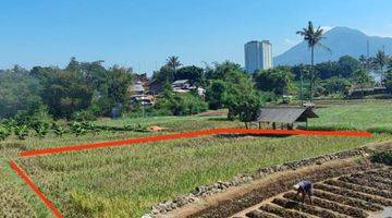 Gambar 2 Dijual Tanah Sawah Produktif di Jatinangor