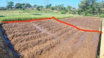 Gambar 4 Dijual Tanah Sawah Produktif di Jatinangor