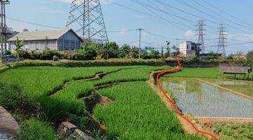 Gambar 3 Dijual Tanah Sawah Produktif di Jatinangor