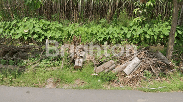 Gambar 1 TANAH DI KOTA KEDIRI