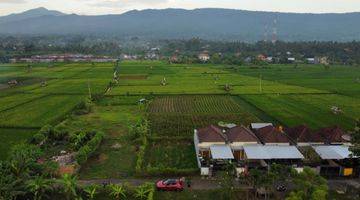 Gambar 1 FREEHOLD LAND  IN LOVINA AREA WITH RICE FIELD AND MOUNTAIN VIEWS