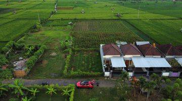 Gambar 2 FREEHOLD LAND  IN LOVINA AREA WITH RICE FIELD AND MOUNTAIN VIEWS