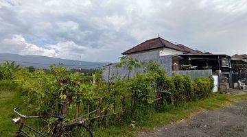 Gambar 3 FREEHOLD LAND  IN LOVINA AREA WITH RICE FIELD AND MOUNTAIN VIEWS