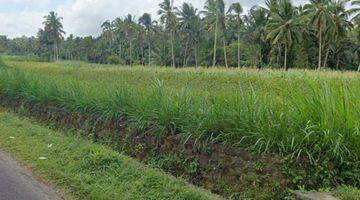 Gambar 2 Dijual Tanah Sawah Lokasi Abiansemal Badung