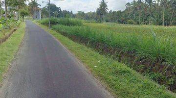 Gambar 1 Dijual Tanah Sawah Lokasi Abiansemal Badung