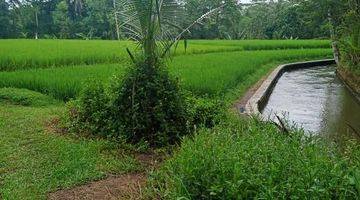 Gambar 4 Tanah 17 Are Daerah Wisata Tegallalang Ubud DB