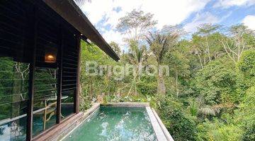 Gambar 4 VILLA RESORT WITH JUNGLE VIEW AT UBUD AREA